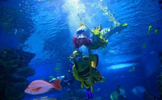 海昌水感觉怎么样，海昌水感觉护理液怎么样