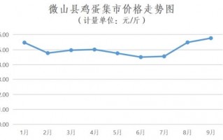日抛的平均价格是多少，日抛正常价格