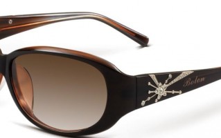 暴龙太阳镜什么价位？，暴龙太阳镜什么价位